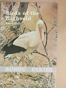 Peter Ginn - Birds of the Highveld [antikvár]