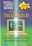 Békefi Zoltán - Táblázatkezelés [antikvár]
