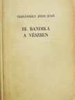Tersánszky Józsi Jenő - III. Bandika a vészben [antikvár]