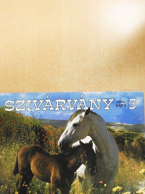 Kiss Dénes - Szivárvány 2000. május [antikvár]