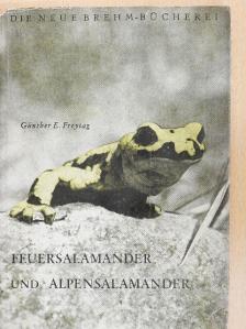 Günther E. Freytag - Feuersalamander und Alpensalamander [antikvár]