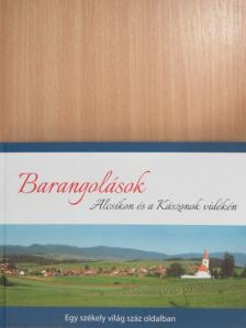 András Ignác - Barangolások Alcsíkon és a Kászonok vidékén [antikvár]