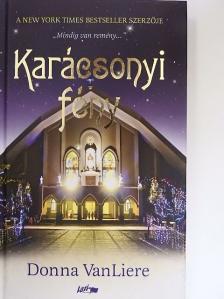 Donna VanLiere - Karácsonyi fény [antikvár]