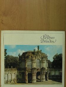 Heinz Klemm - Schönes Dresden [antikvár]