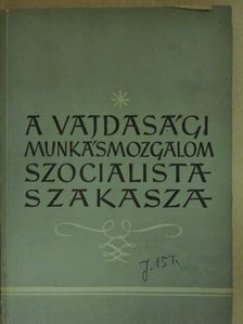 A vajdasági munkásmozgalom szocialista szakasza [antikvár]