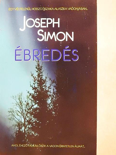 Joseph Simon - Ébredés [antikvár]