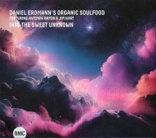 Erdmann - INTO THE SWEET UNKNOWN CD ERDMANN