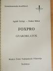 Agárdi György - Foxpro - Gyakorlatok [antikvár]