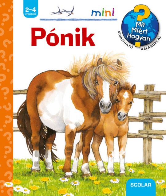 Thea Roß - Pónik - Mit? Miért? Hogyan? mini