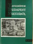 Baraczka István - Tanulmányok Budapest múltjából XVII. [antikvár]