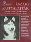 Anneliese Braun - Északi kutyafajták [antikvár]