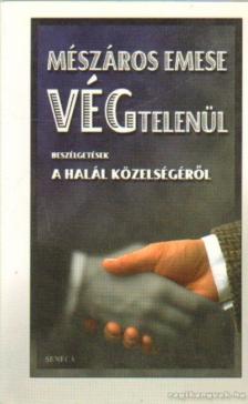 Mészáros Emese - Végtelenül [antikvár]