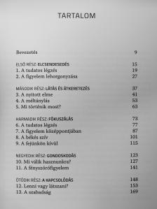 Susan Kaiser Greenland - Játékok a tudatos jelenlétért [antikvár]