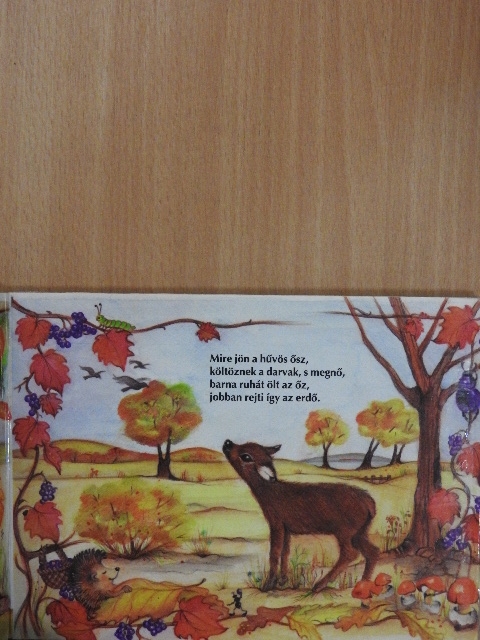 Őzi [antikvár]