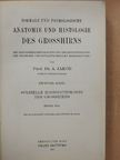 Prof. Dr. A. Jakob - Normale und Pathologische Anatomie und Histologie des Grosshirns II/1. [antikvár]