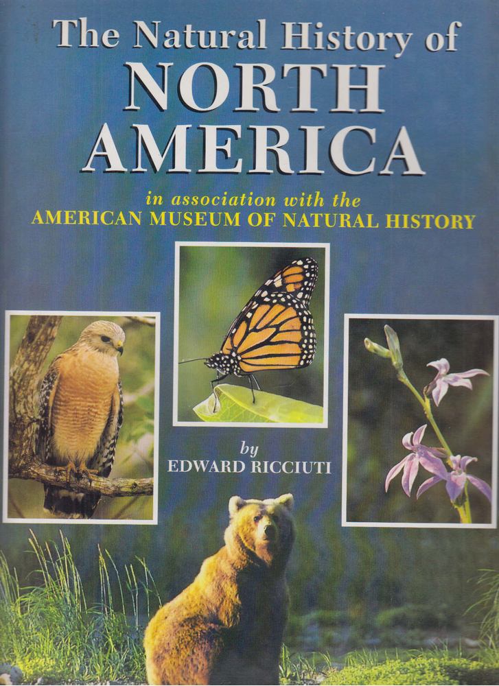 Edward Ricciuti - The Natural History of North America [antikvár]