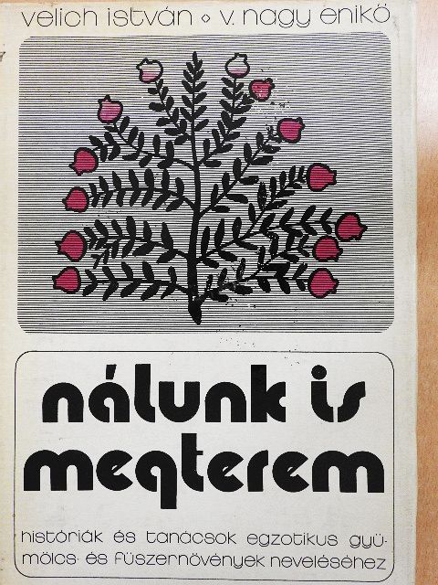 Velich István - Nálunk is megterem [antikvár]
