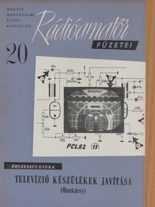 Érczfalvi Gyula - Televízió készülékek javítása [antikvár]