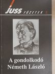 Bíró Zoltán - A gondolkodó Németh László [antikvár]