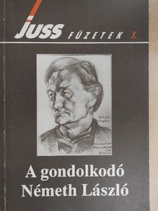 Bíró Zoltán - A gondolkodó Németh László [antikvár]