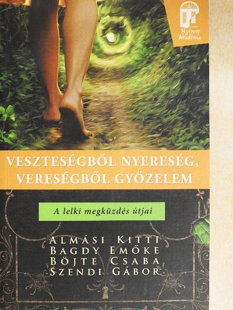 Böjté Csaba - Veszteségből nyereség, vereségből győzelem [antikvár]