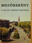 Dövényi Zoltán - Mezőberény, a helyét kereső kisváros [antikvár]