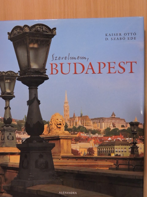D. Szabó Ede - Szerelmem, Budapest [antikvár]