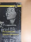 David Alexander - Rémület a Broadwayn [antikvár]
