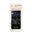 MS65184 - Pyramid HARRY POTTER (HOGWARTS CASTLE) Mágneses Könyvjelző