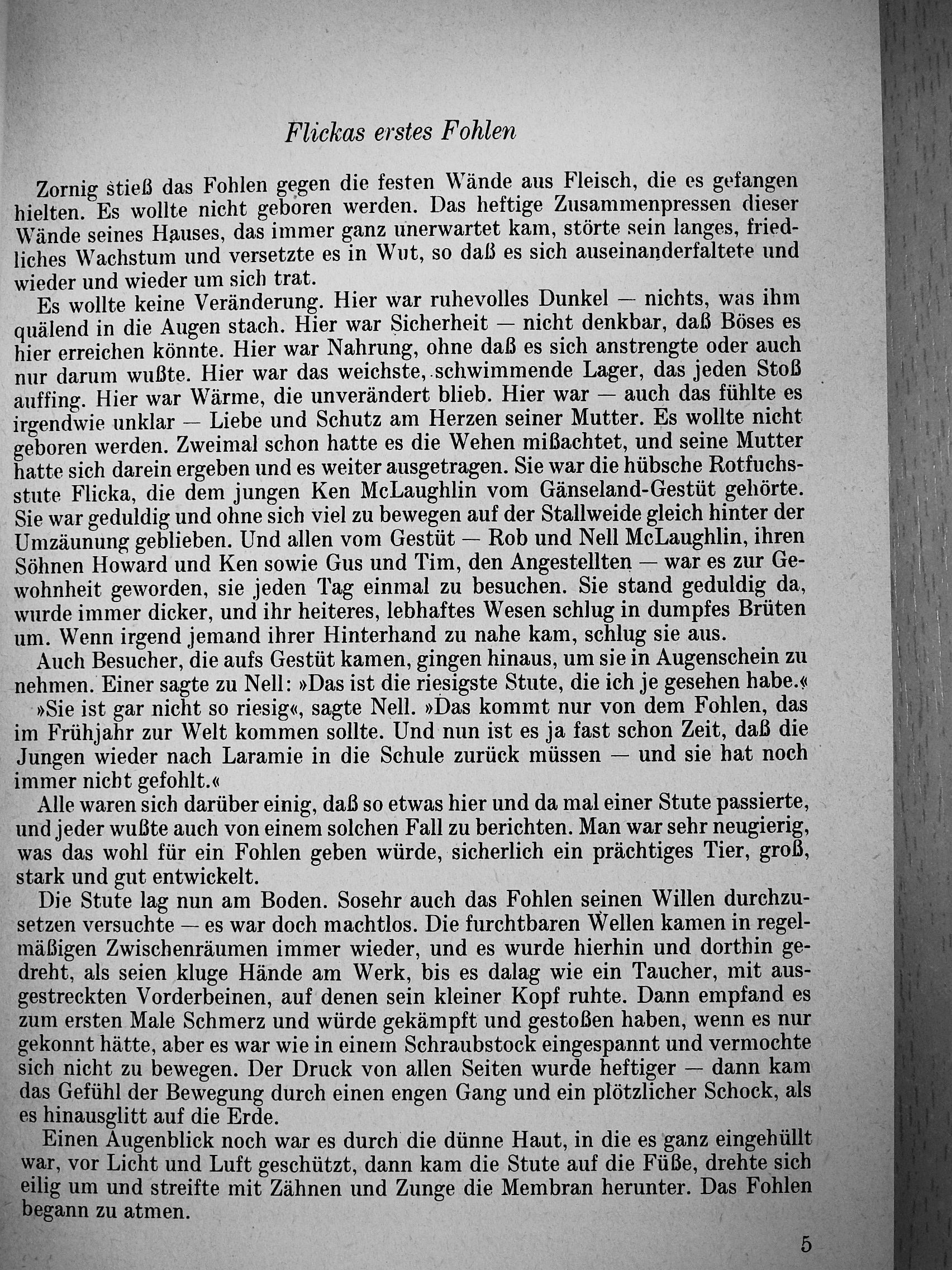 Mary O'Hara - Sturmwind - Flickas Sohn [antikvár]