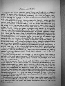 Mary O'Hara - Sturmwind - Flickas Sohn [antikvár]