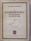 Dr. Szerb Zsigmond - A gyomorfekély felismerése és gyógyítása [antikvár]