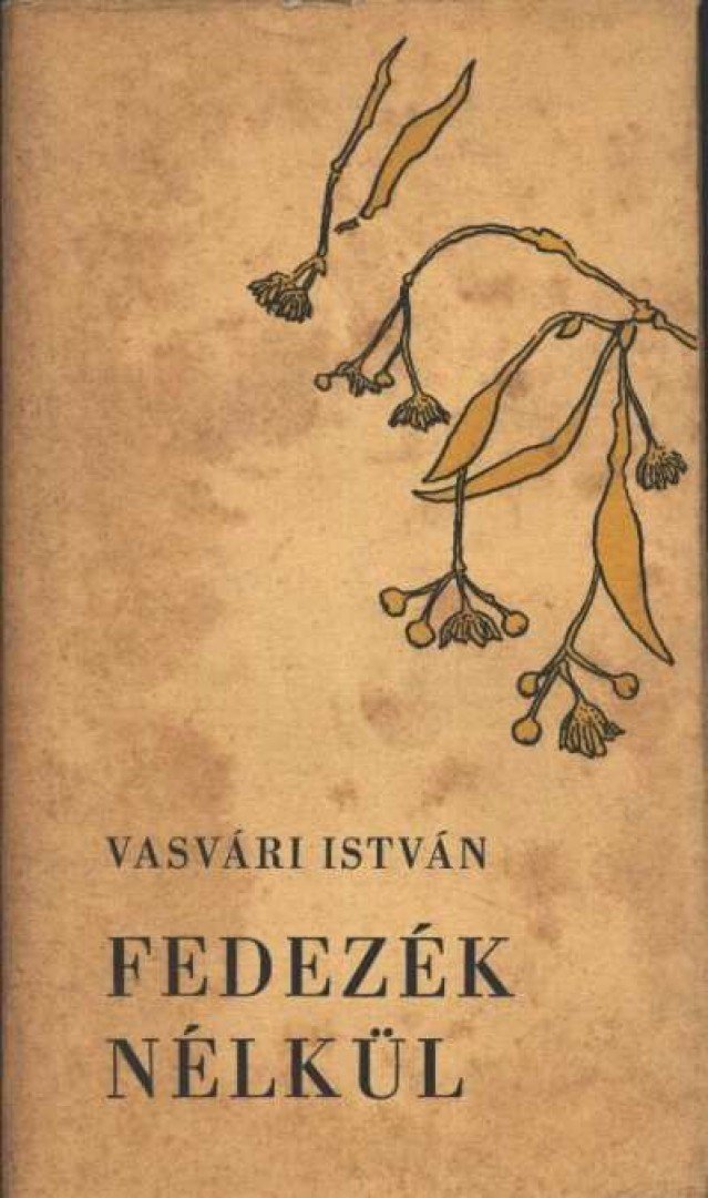 Vasvári István - Fedezék nélkül [antikvár]