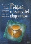 Korom Erik, Miklósyné Ács Klára, Reizingerné Ducsai Anita, Siklósi Ágnes, Simon Szilvia - Példatár a számvitel alapjaihoz [antikvár]