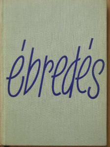 Berkesi András - Ébredés [antikvár]