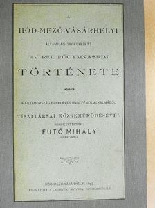 Bányai Sándor - A Hód-Mező-Vásárhelyi államilag segélyezett Ev. Ref. Főgymnasium története [antikvár]