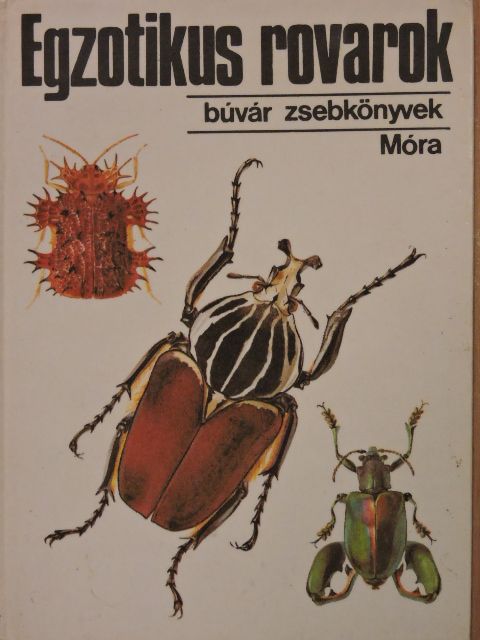 Vásárhelyi Tamás - Egzotikus rovarok [antikvár]