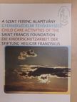 A Szent Ferenc Alapítvány gyermekvédelmi tevékenysége [antikvár]