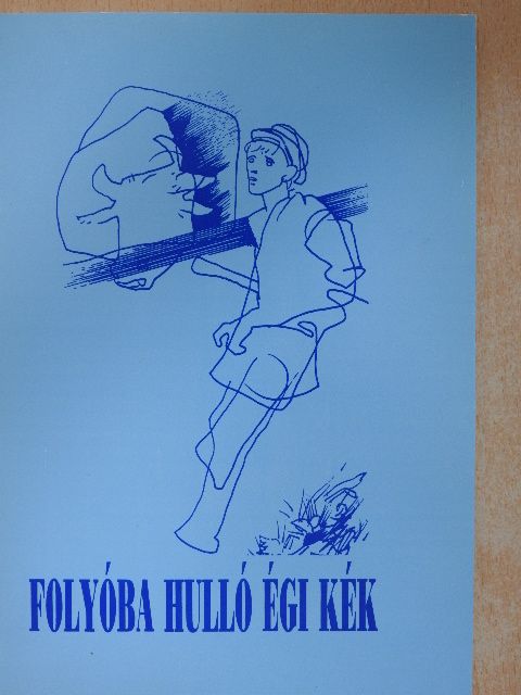 Cs. Varga István - Folyóba hulló égi kék [antikvár]