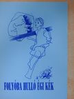 Cs. Varga István - Folyóba hulló égi kék [antikvár]