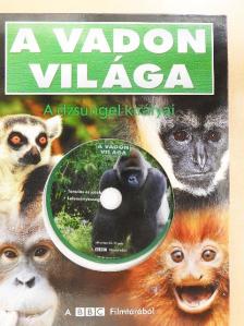 Amy-Jane Beer - A dzsungel királyai - DVD-vel [antikvár]