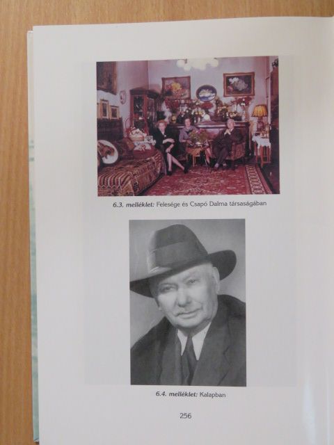 Balázs György - Dr. Mihailich Győző az oktató, a tervező, a kutató és a közéleti ember (dedikált példány) [antikvár]
