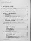 Michelberger Pál - Üzleti informatika [antikvár]