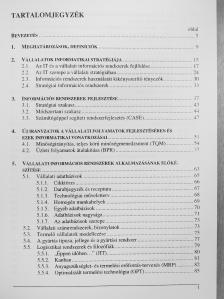 Michelberger Pál - Üzleti informatika [antikvár]