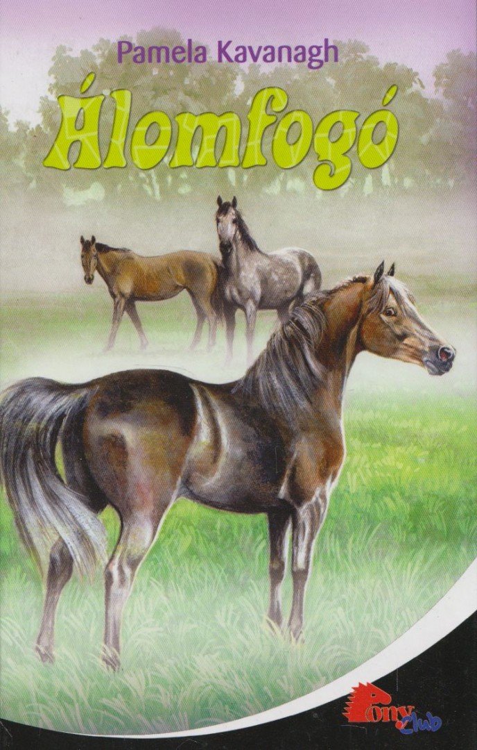 Kavanagh, Pamela - Álomfogó [antikvár]