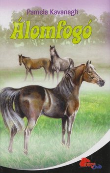 Kavanagh, Pamela - Álomfogó [antikvár]