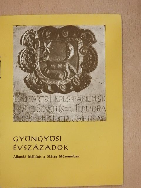 Báryné Gál Edit - Gyöngyösi évszázadok [antikvár]
