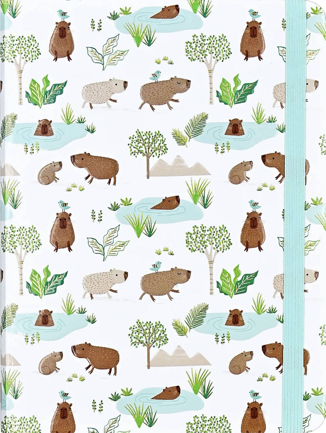 Peter Pauper notesz Midi Capybara Life vonalas