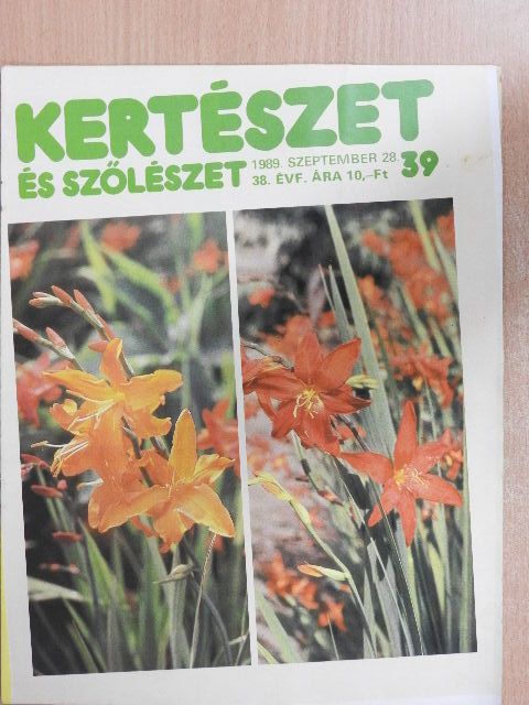 Dr. Balázs Klára - Kertészet és Szőlészet 1989. szeptember 28. [antikvár]