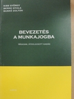 Bankó Zoltán - Bevezetés a munkajogba [antikvár]